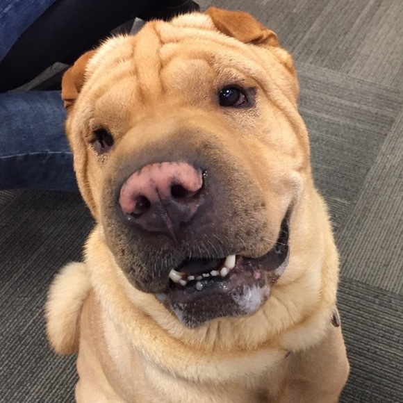 Meet your Posher, Jimmy - Picture 1 of 1